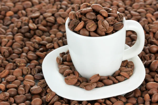 Kaffeebohnen in Tasse Nahaufnahme — Stockfoto