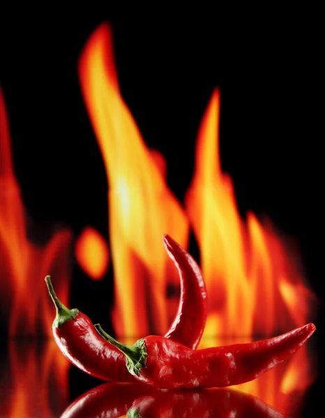 Red hot chili peppers on fire background — Stock Photo, Image