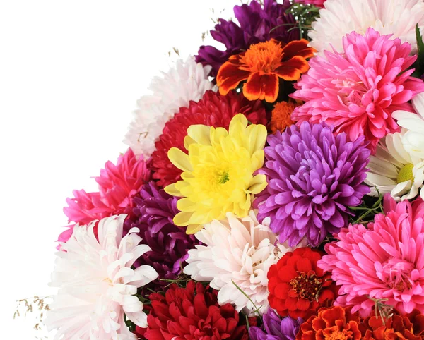 Beautiful bouquet of chrysanthemums on white background — Stock Photo, Image