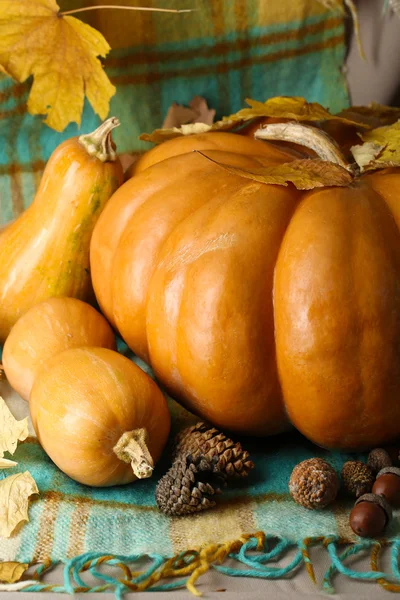 Herfst Stilleven met pumpkins op stof achtergrond — Stockfoto
