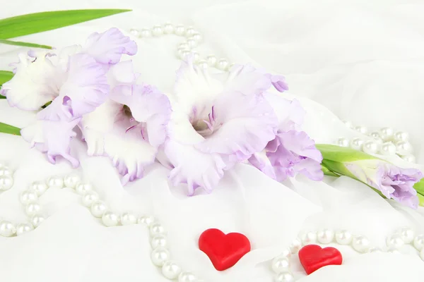 Bela flor gladiolus no fundo tecido branco — Fotografia de Stock