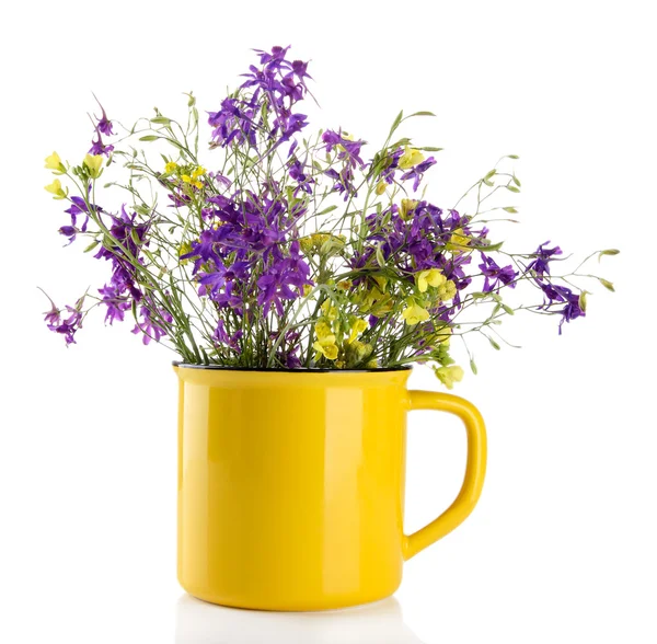 Букет полевых цветов в чашке, изолированный на белом — стоковое фото
