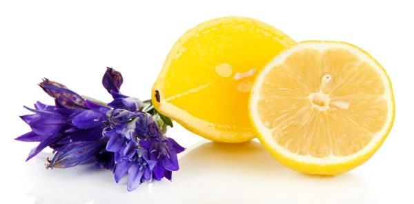 Aromat świecy i cytryny na białym tle — Zdjęcie stockowe