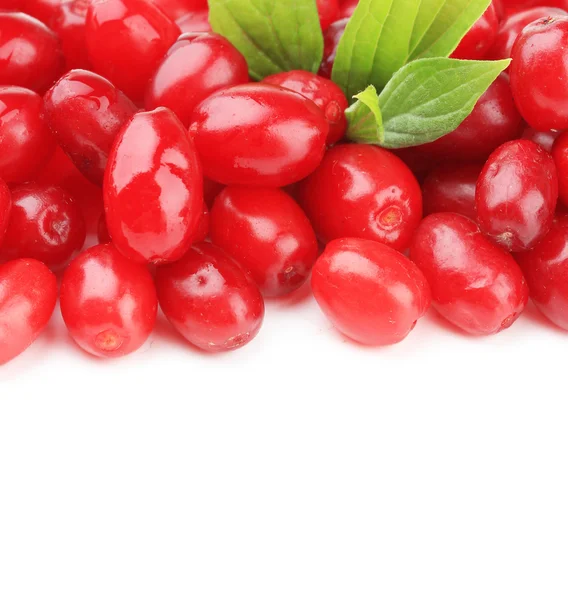 Fresh cornel berries isolated on white — Stock Photo, Image