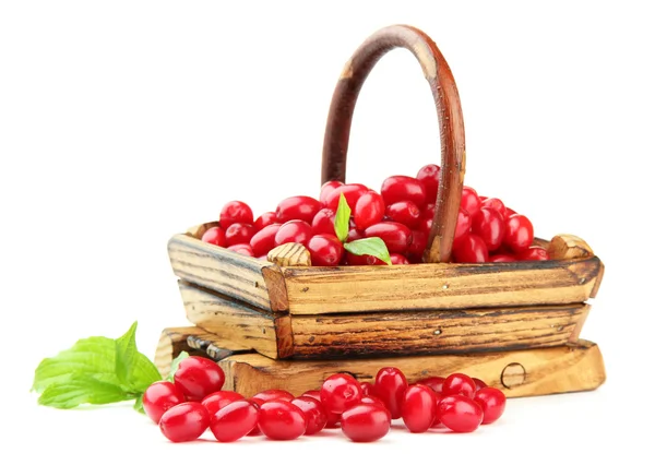 Fresh cornel berries in wooden basket, isolated on white — Stock Photo, Image