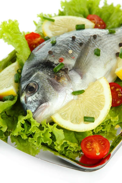 Dorado fish close-up — Stock Photo, Image