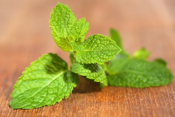 Mint on wooden background — Stock Photo, Image