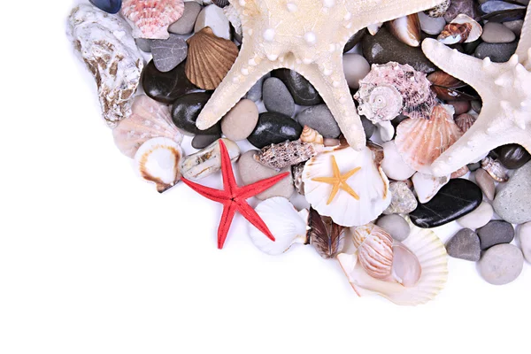 Close up of sea stones and shells — Stock Photo, Image