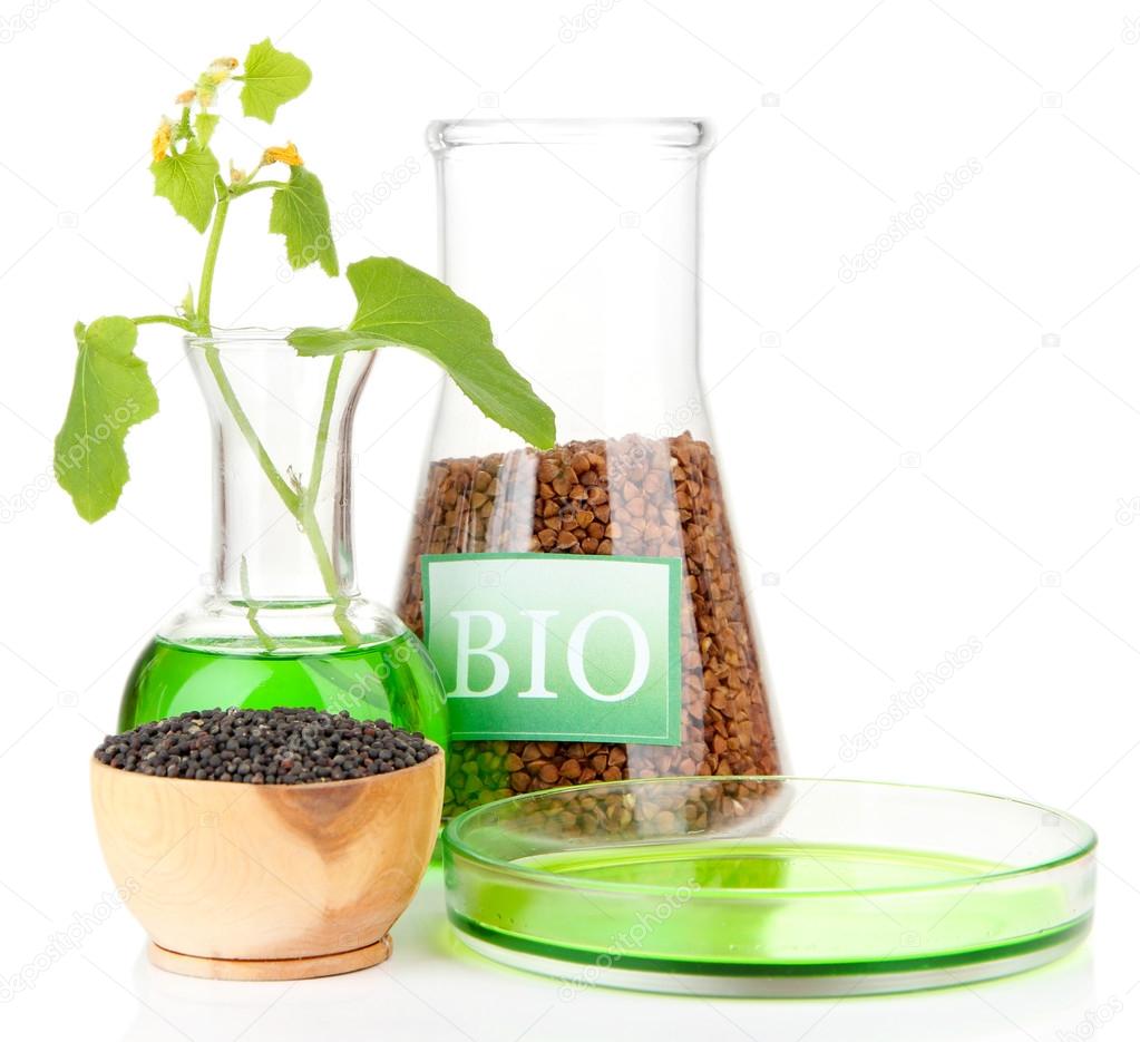 Conceptual photo of bio fuel. Isolated on white