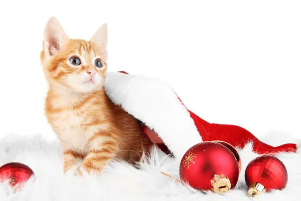 Bonito pouco vermelho gatinho no Santa chapéu isolado no branco — Fotografia de Stock