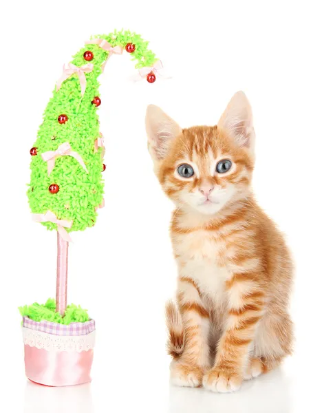 白で隔離され、手作りのクリスマス ツリーとかわいい小さな赤い子猫 — ストック写真