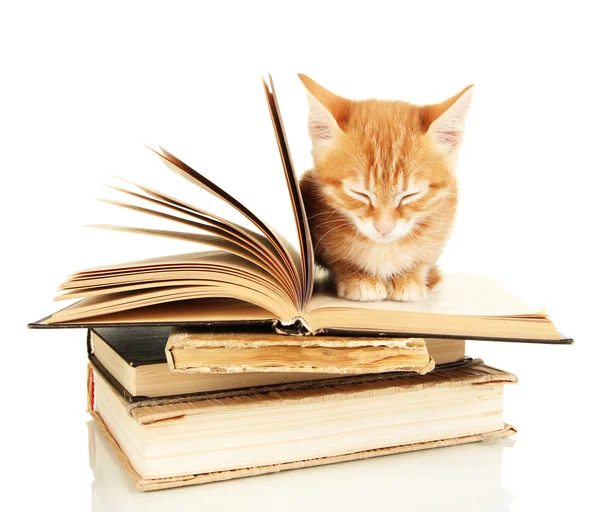 Cute little red kitten and books isolated on white — Stock Photo, Image