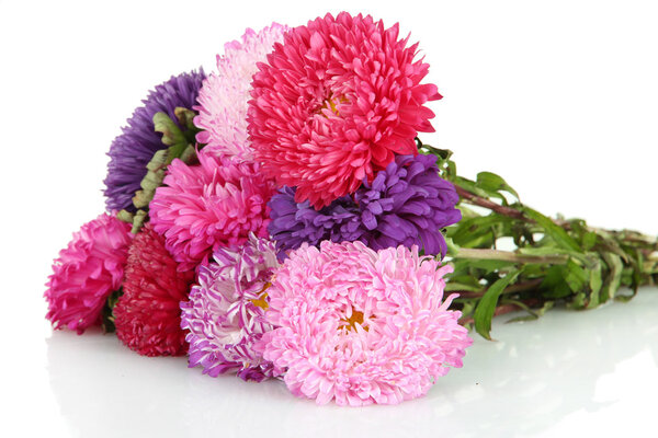 Яркие пасхальные цветы, изолированные на белом
