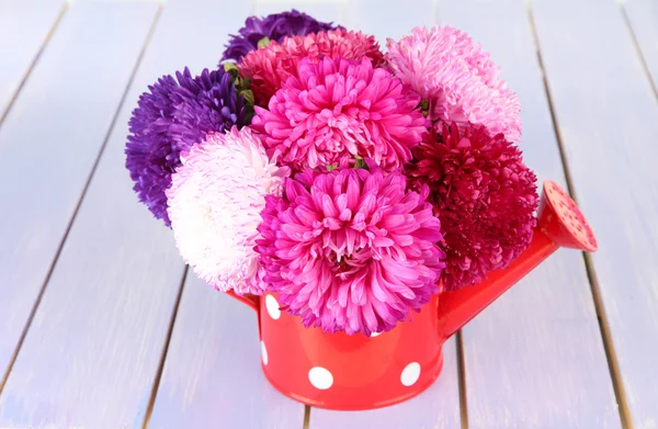 Bright aster flowers in watering can, on bright wooden background — Stock Photo, Image