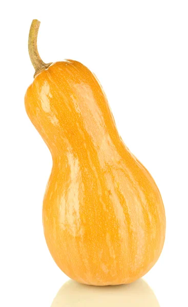 Zucca matura isolata su bianco — Foto Stock