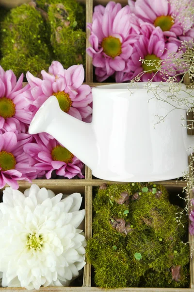 Beautiful white and purple flowers with watering can in wooden box close-up — Stock Photo, Image