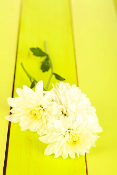 Schöne weiße Blumen auf dem Holztisch in Großaufnahme — Stockfoto