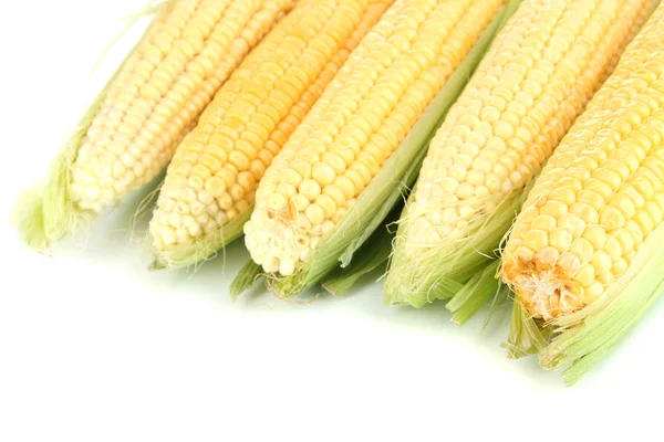 Fresh corn vegetable isolated on white — Stock Photo, Image