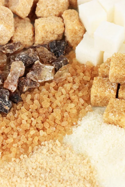 Different types of sugar close-up — Stock Photo, Image