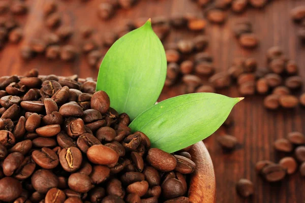 Chicchi di caffè in ciotola su sfondo di legno — Foto Stock