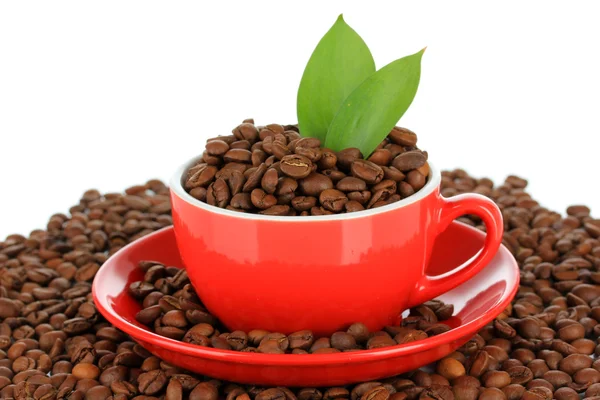 白い背景の上のカップのコーヒー豆 — ストック写真