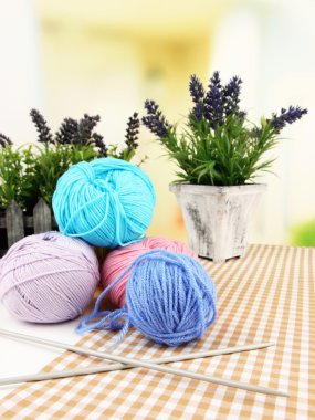 iğneler ve çiçekler closeup ile çok renkli clews