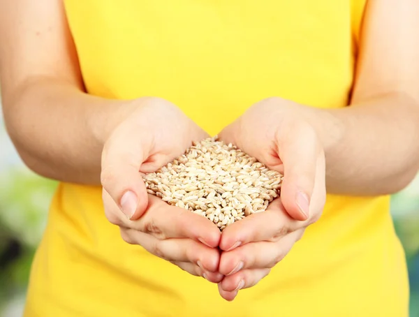 Grano de trigo en manos femeninas sobre fondo natural — Foto de Stock