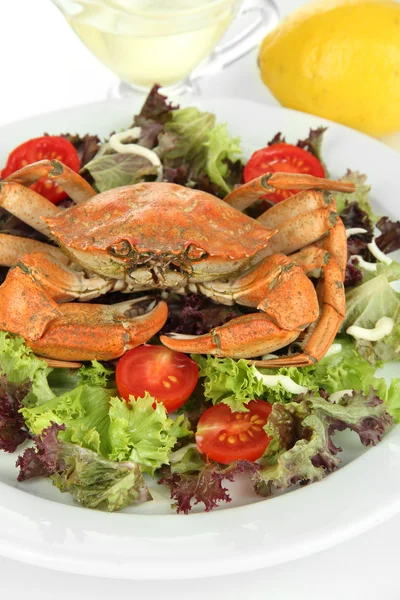 Boiled crab on white plate with salad leaves and tomatoes, isolated on white — Stock Photo, Image