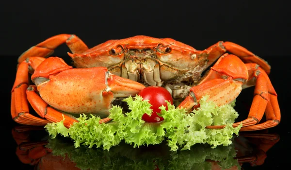 Crabes bouillis isolés sur noir — Photo