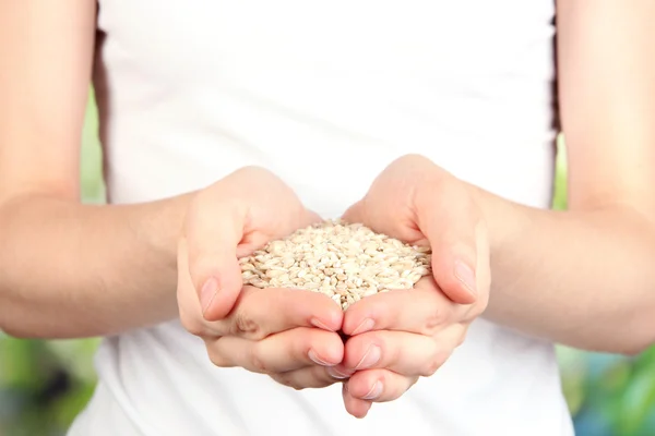 Grano de trigo en manos femeninas sobre fondo natural — Foto de Stock