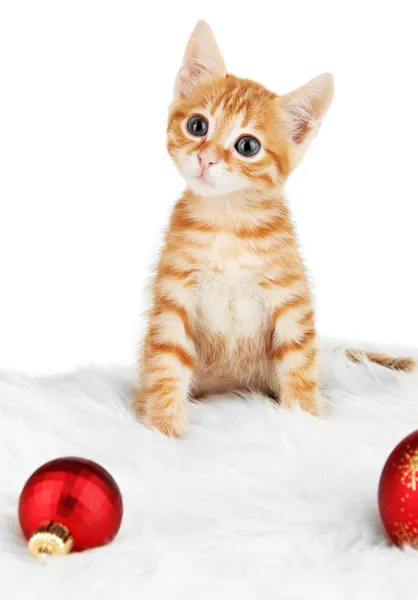 Roztomilé malé červené kotě izolované na bílém — Stock fotografie