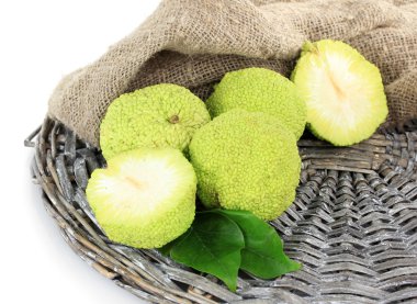 osage turuncu meyveler (maclura pomifera), üzerinde beyaz izole
