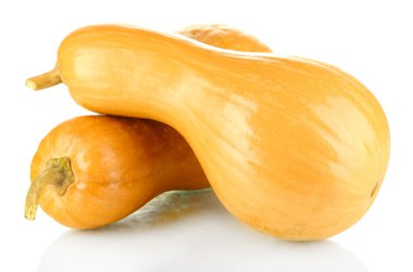 Olgun kabak üzerine beyaz izole