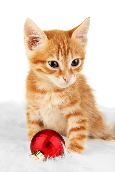 Bonito pouco vermelho gatinho isolado no branco — Fotografia de Stock