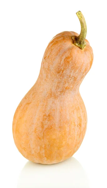 Zucca matura isolata su bianco — Foto Stock