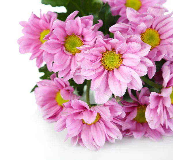 Hermosas flores púrpuras aisladas en blanco — Foto de Stock