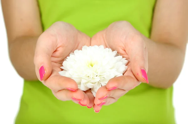 Gyönyörű fehér virág, a nők kézzel a elszigetelt fehér — Stock Fotó