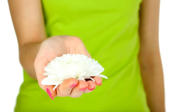Hermosa flor blanca en la mano de las mujeres aisladas en blanco — Foto de Stock