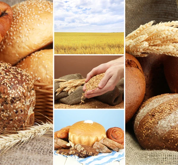 Bread and harvesting wheat collage — Stock Photo, Image
