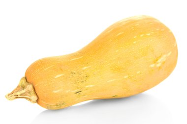 Olgun balkabağı beyaz izole