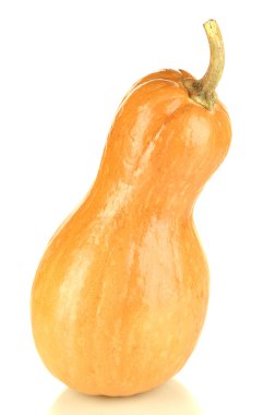 Olgun balkabağı beyaz izole