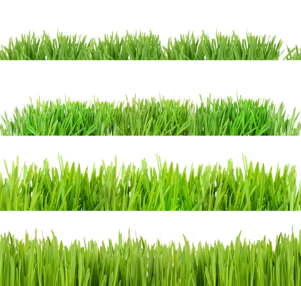 Collage van groen gras geïsoleerd op wit — Stockfoto
