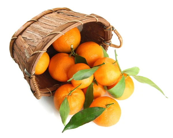 Zralé sladké mandarinky s listy v koši, izolované na bílém — Stock fotografie