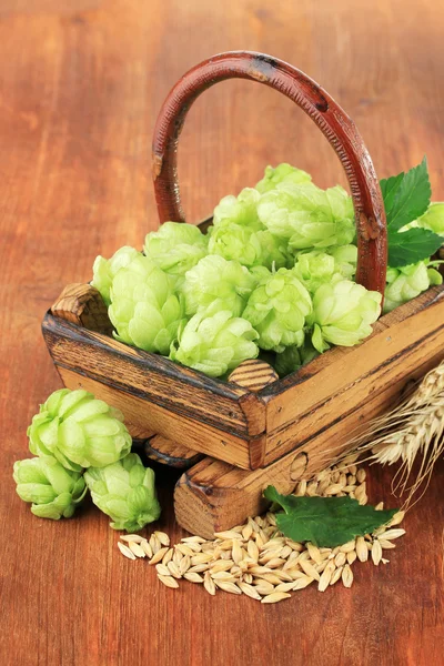 Verse groene hop in mand en gerst, op houten achtergrond — Stockfoto