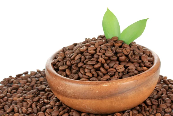 ボウルに白い背景の上のコーヒー豆 — ストック写真