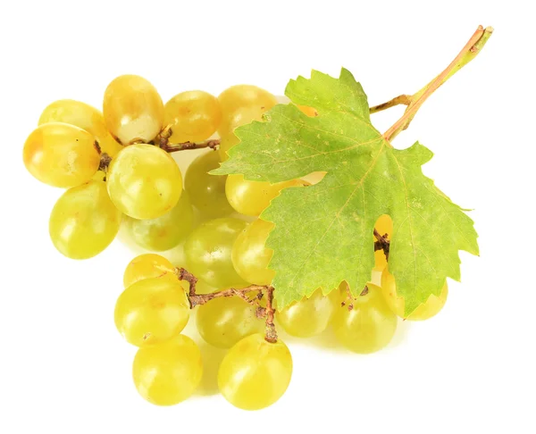 Стиглий солодкий виноград, ізольований на білому — стокове фото