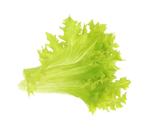 Salata üzerine beyaz izole — Stok fotoğraf