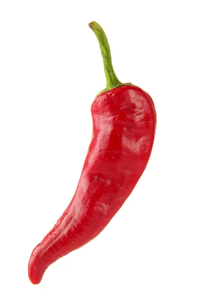 Rode hete chili peper geïsoleerd op wit — Stockfoto