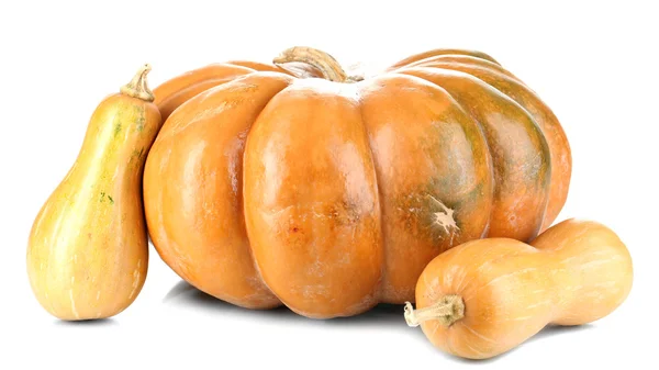 Ripe pumpkins isolated on white — Stock Photo, Image