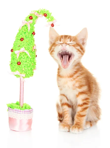 Roztomilé koťátko červené s ručně vyráběné vánoční stromeček izolované na bílém — Stock fotografie